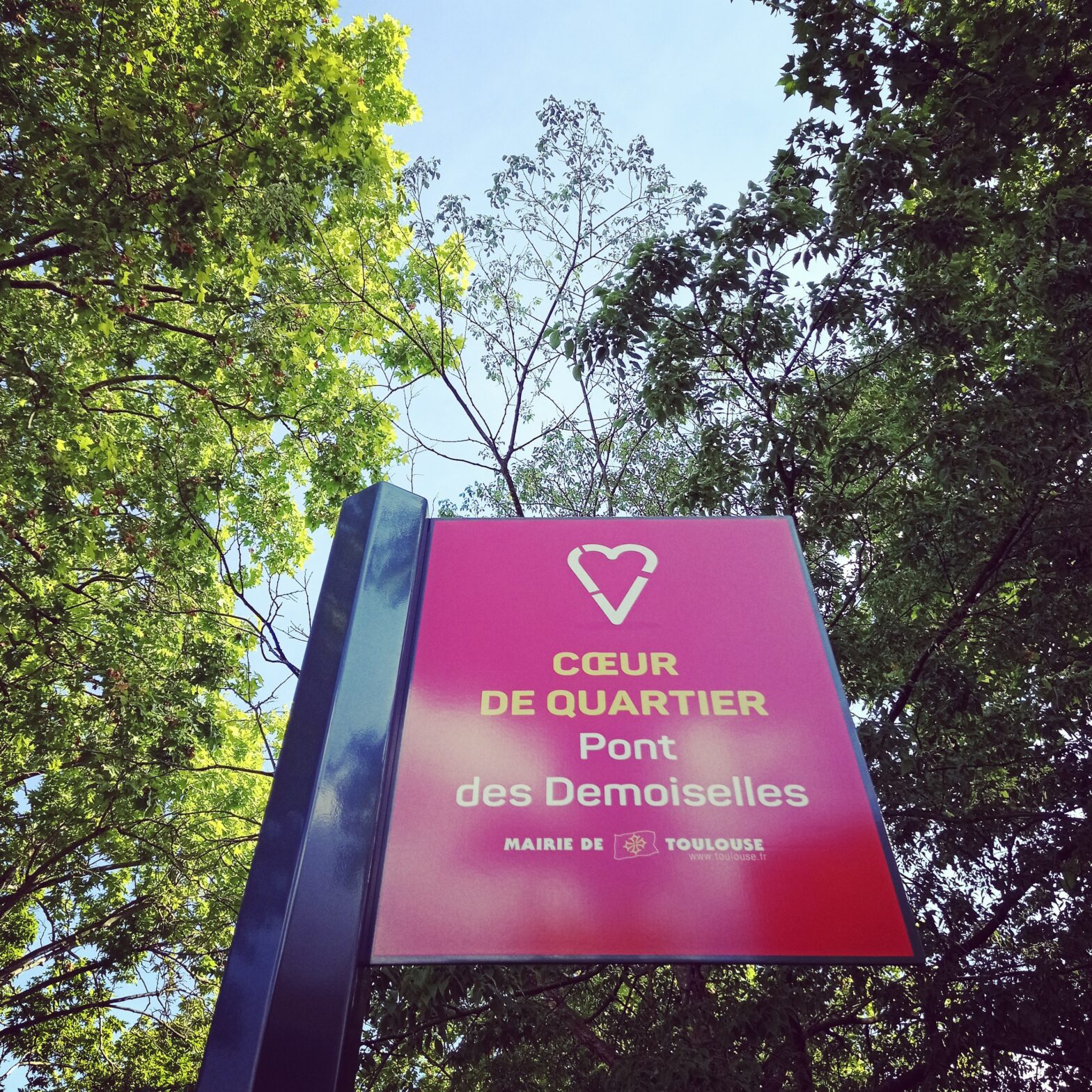 Chrysalide, Demoiselles et Happy juin